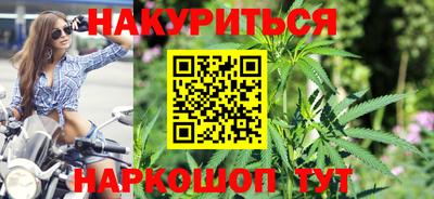 прущие грибы Бердск