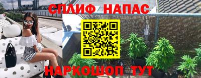 прущие грибы Бердск