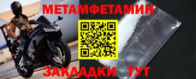 прущие грибы Бердск
